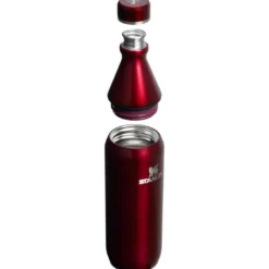 All Day termoflaske 0,6L garnet shine