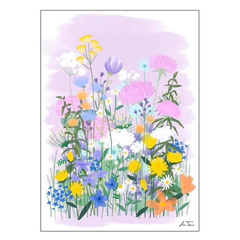 Anna Thomsen poster 50x70 cm field of flowers no2