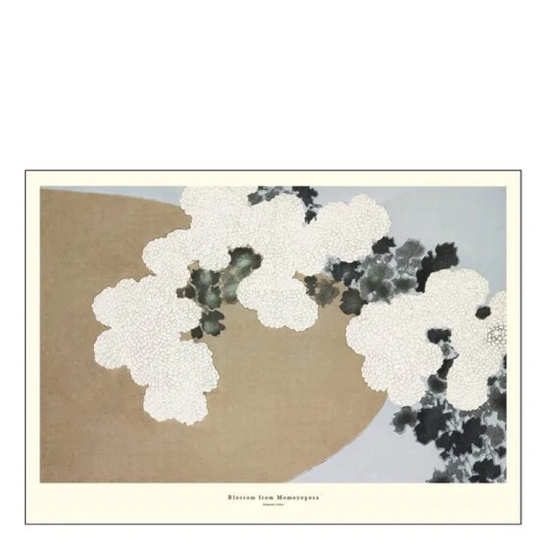 A.P. Atelier poster 50x70 cm blossom from momoyogusa
