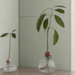 Avo vase 14,5 cm