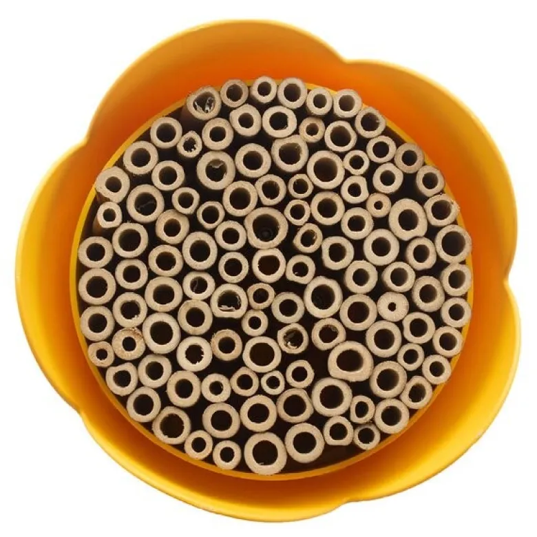Bihotell 20 cm gul