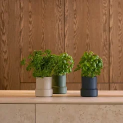 Billund selvvannende urtepotte 14x12 cm parsley