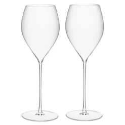 Elegance champagneglass 29 cl 2 stk klar