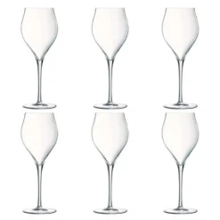 Exaltation champagneglass 30 cl 6 stk