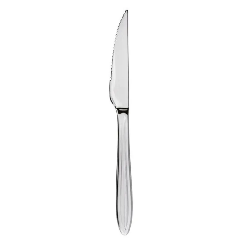 Gastro biffkniv 22 cm mirror polish