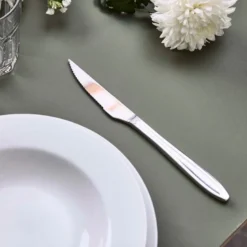 Gastro biffkniv 22 cm mirror polish