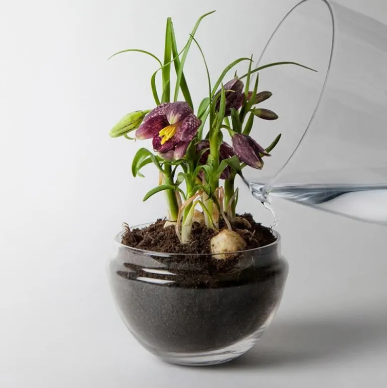 Grow urtepotte liten