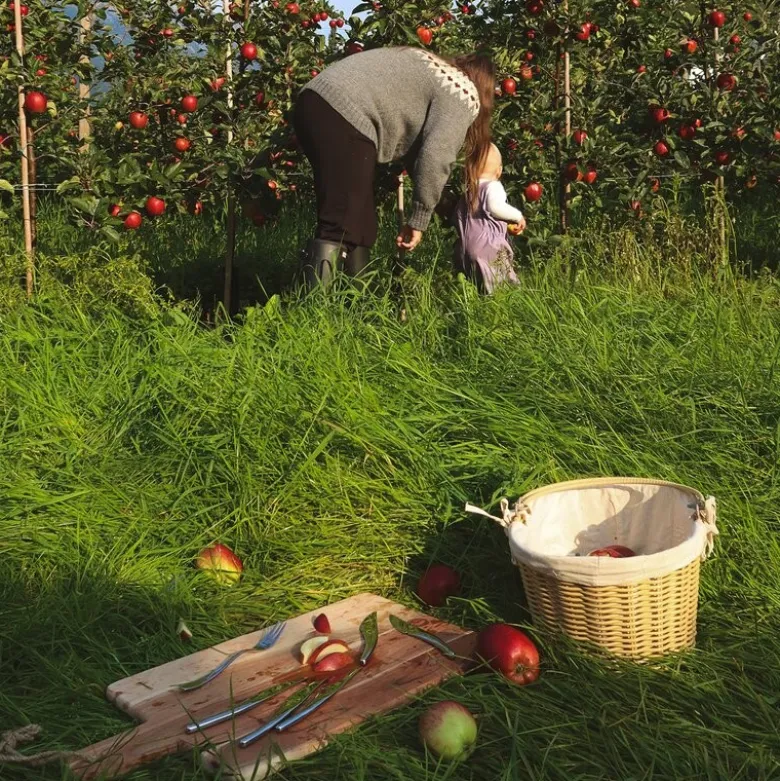 Hardanger ost-og fruktknivesett 12 deler