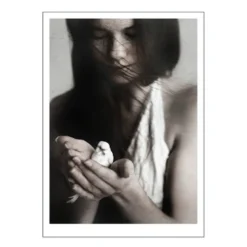 Ingrey Studio poster 50x70 cm girl & bird