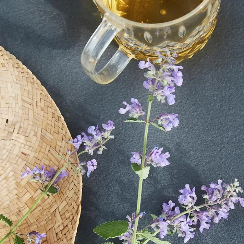 Juni piknik mugge 1,2L