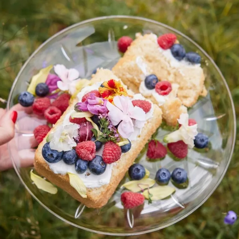 Juni piknik tallerken 26 cm 2 stk