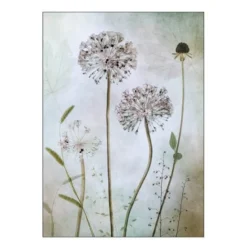 Mandy Disher poster 30x40 cm allium