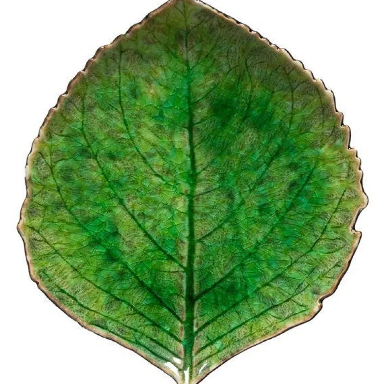 Riviera asjett hortensia 17x15 cm grønn/svart
