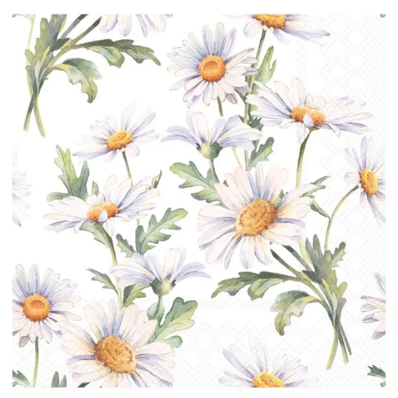 Serviett 33x33 cm 20 stk Beautiful Daisies