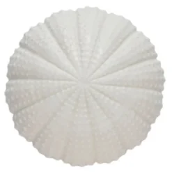Shellille dekorasjon 8 cm hvit