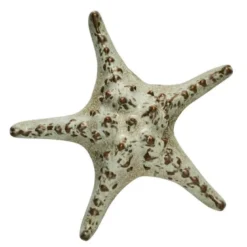 Shellille dekorasjon 5 cm lin