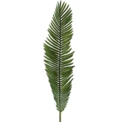 Silkeblomst cycas 55 cm