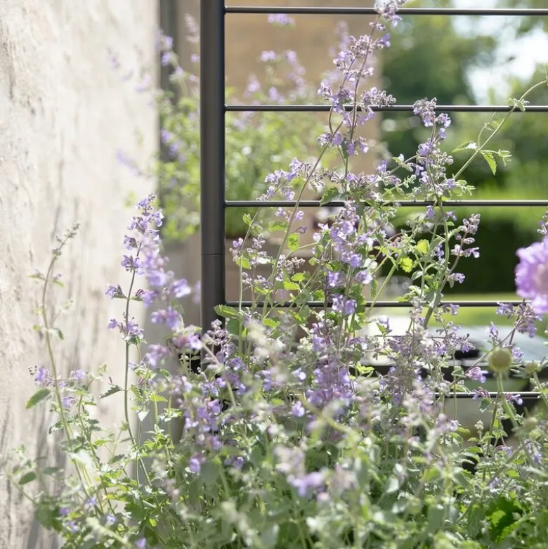 Simply Grow espalier til plantekasse svart
