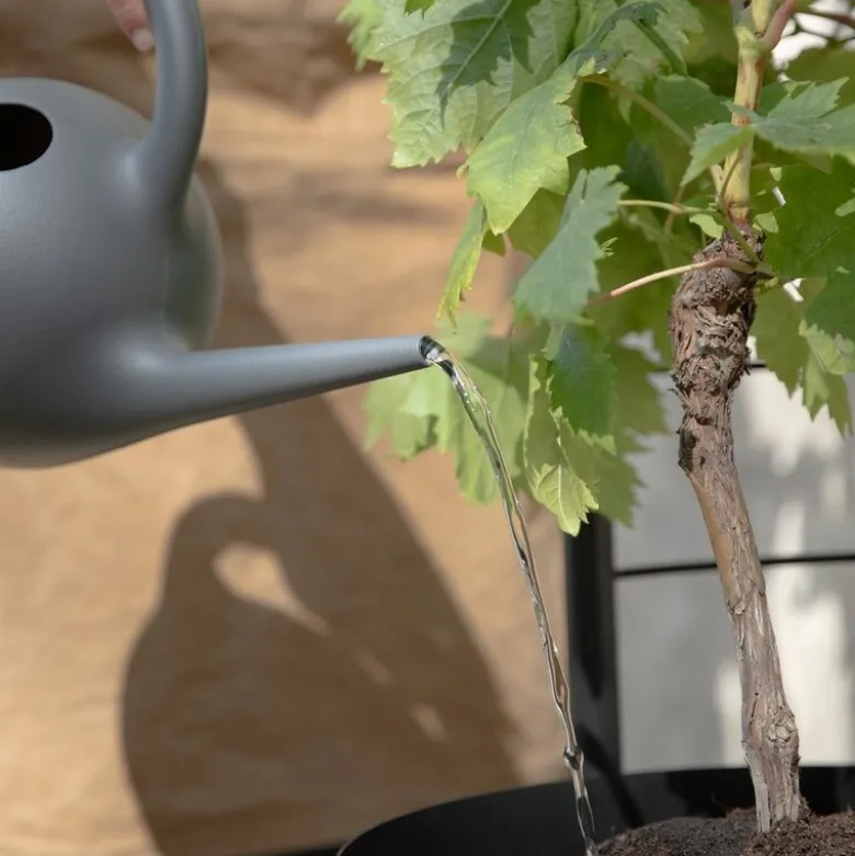 Simply Grow espalier til ytterpotte svart