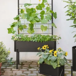 Simply Grow plantekasse svart