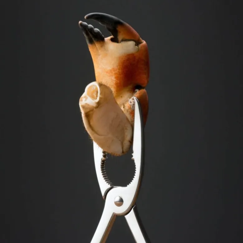 Skalldyretang 20 cm stål
