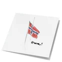 Store kunstkort norsk flagg